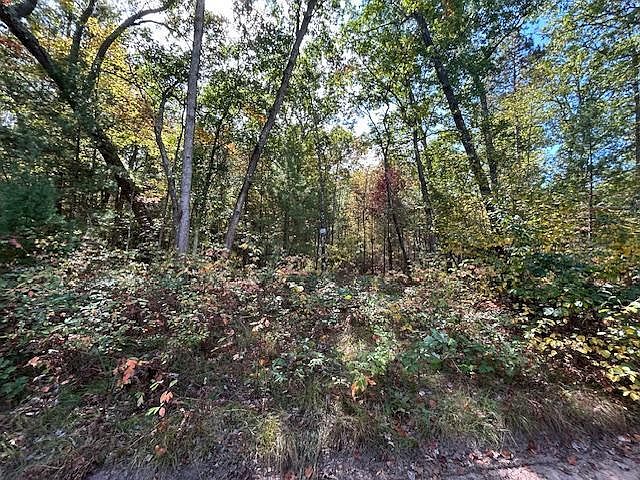 2nd image of V/l W Meinert Rd
