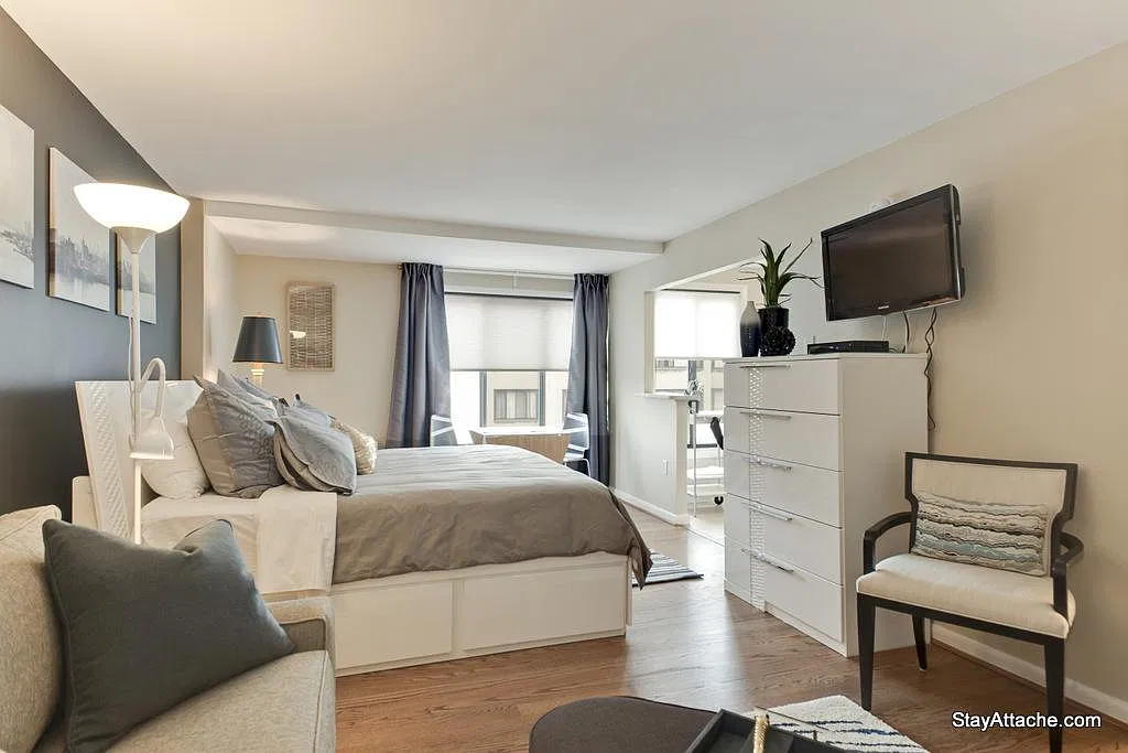 Studio, 420 sqft, $2,670 — Photo 2