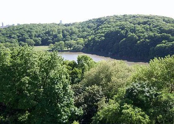 Rented by R New York | media 8