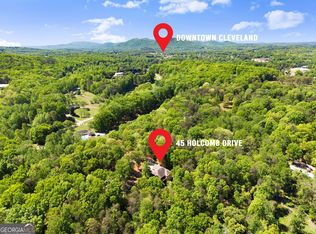 45 Holcomb Dr, Cleveland, GA 30528