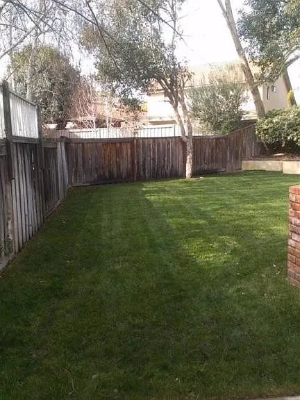 4117 Lost Springs Dr — Photo 9