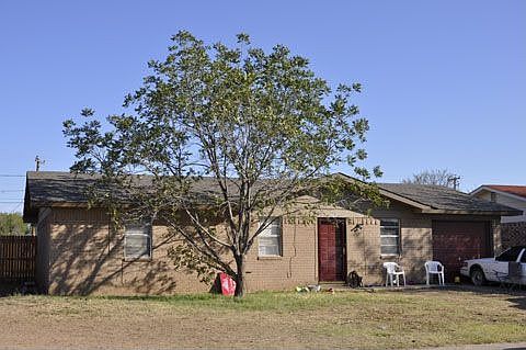 2nd image of 1205 E Oak Ave