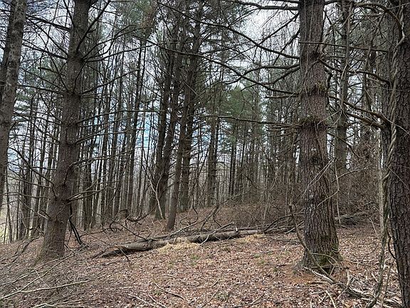 5th image of Tbd Tower Rd