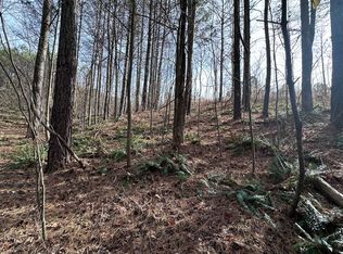 45 Grandview Ln, Ellijay, GA 30536