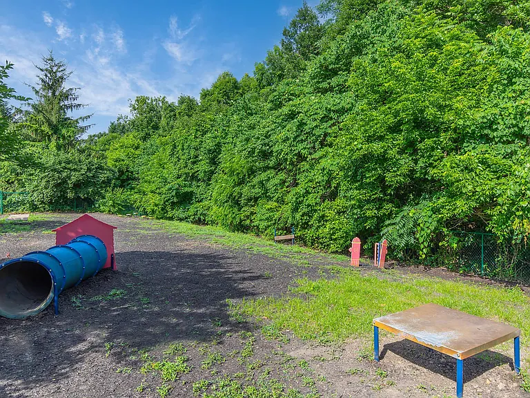 Wipe your Paws after Playing in the Bark Park!