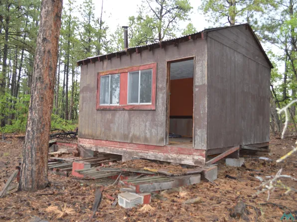 23 Forest Rd #157, Ramah, NM 87321