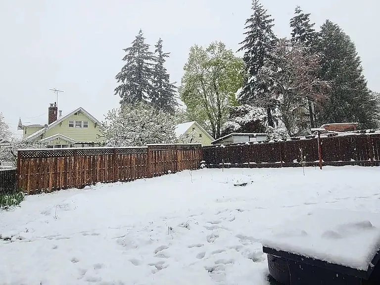 8311 NE Sacramento St — Photo 3