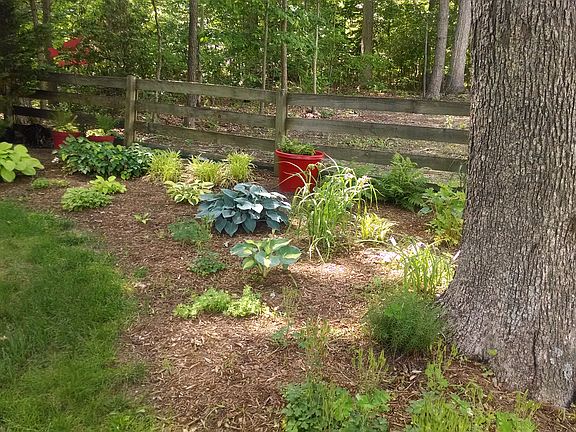 3rd image of 8606 Chase Glen Cir