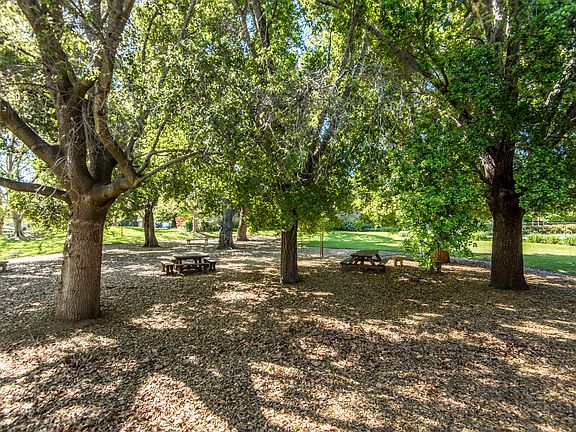 Parklike Community Setting