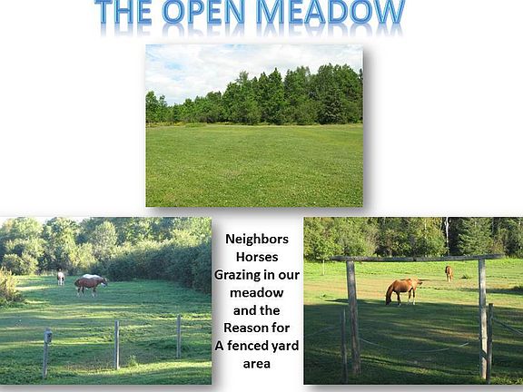 4th image of 9780 S Meadow Row