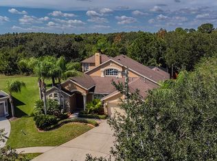 4703 Jacks Point Ct, Lutz, FL 33558