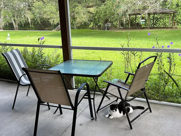 Porch with backyard