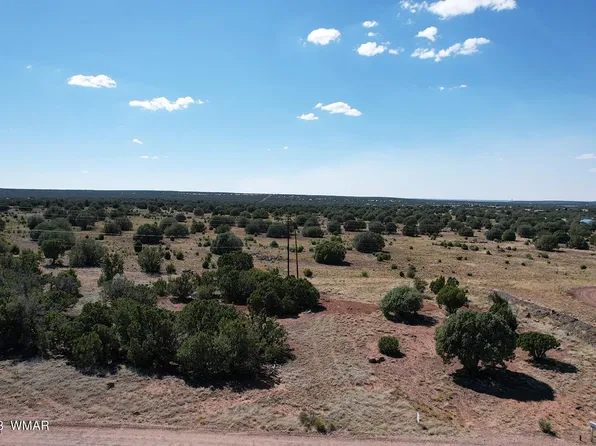 1762 Silver Lake Blvd, Show Low, AZ 85901