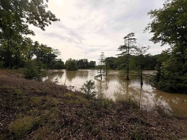 12798 N Griffin Rd, Des Arc, AR 72040