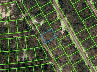 291 Blue Horizon Dr, Lake Placid, FL 33852