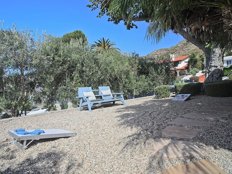 front yard - Corn hole anyone?