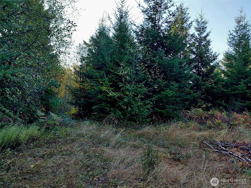 2nd image of 0 Lot 7 Buck Drive