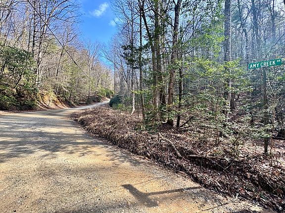 2nd image of L53 Amy Creek Cir