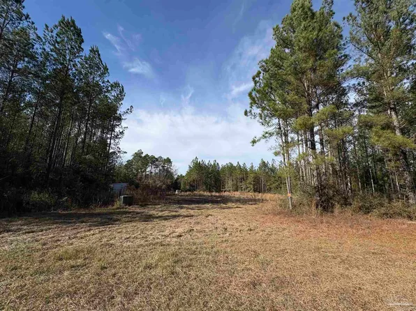 10485 Wiggins Grove Rd, Jay, FL 32565