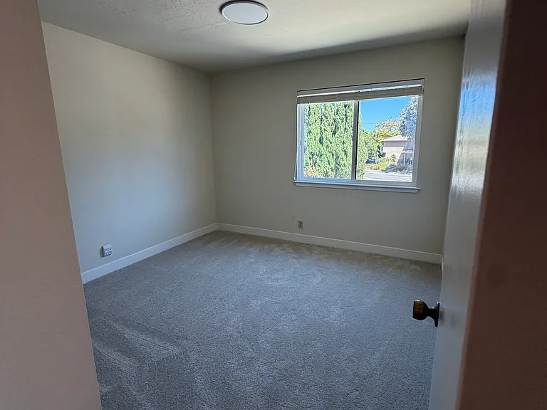 898 Pepper Tree Ct — Photo 15