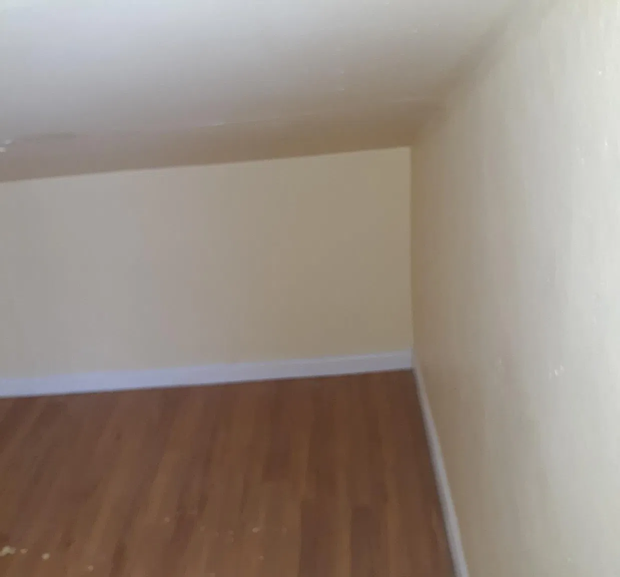 2 bed, 788 sqft, $1,150 — Photo 2