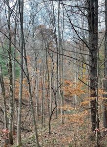 1 White Oak Frst #1B-B, Hiawassee, GA, 30546