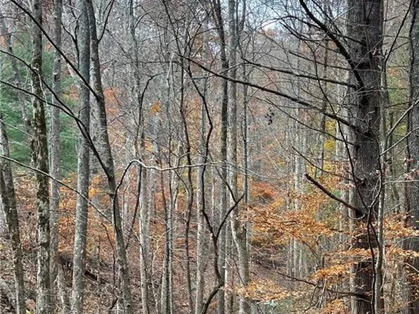 1 White Oak Frst #1B-B, Hiawassee, GA 30546