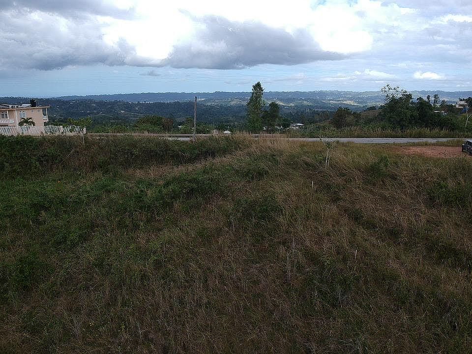Drone view Jan 2020