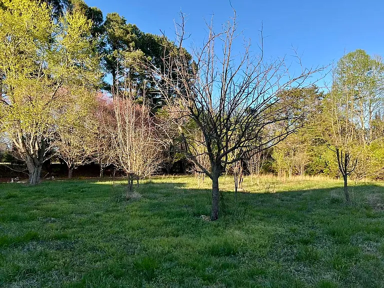 534 Dodson Rd — Photo 35