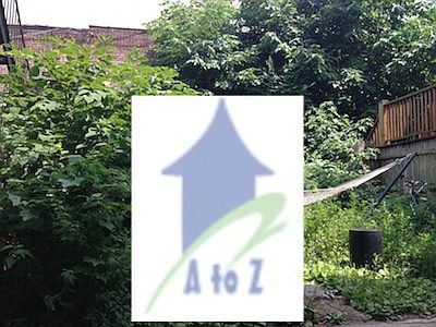 3rd image of 109 Rogers Ave #1