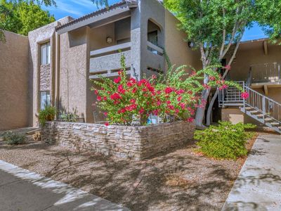 3825 E Camelback Rd Unit 163, Phoenix, AZ, 85018