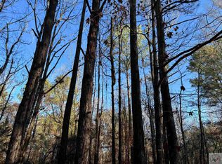 County Road 1784, Jefferson, TX 75657