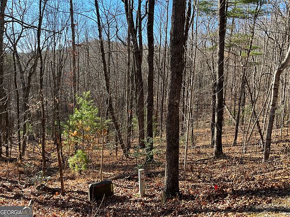 5th image of LOT 1 Forest Canopy Way