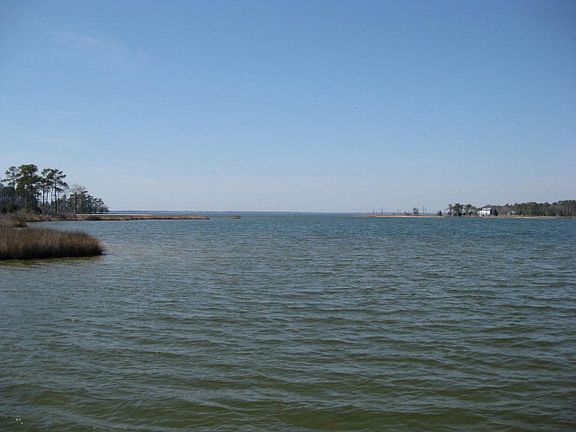 3rd image of 609 Little Oyster Ln