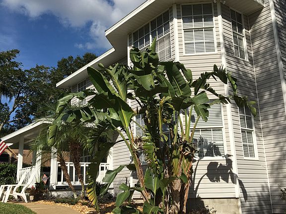 2nd image of 5418 Julia Ln