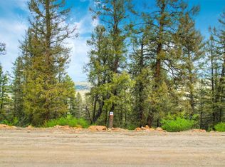 0 Middle Fork Vis #367, Fairplay, CO 80440