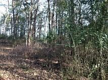 2nd image of Old Belleville Rd
