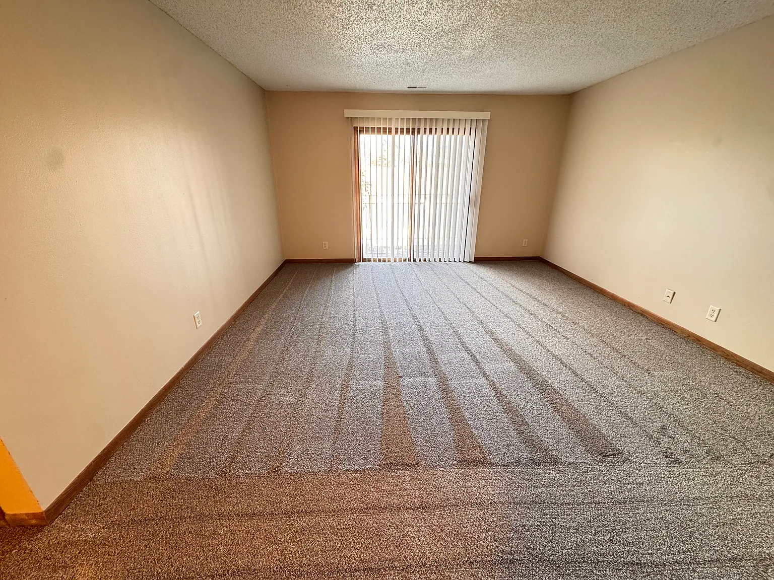 2 bed, 1000 sqft, $1,149 — Photo 3