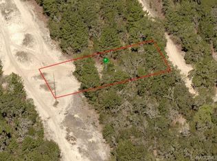 101 Webhill Ave, Inverness, FL 34452