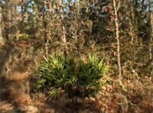 Solway Dr, Webster, FL 33597