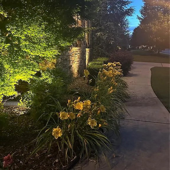6125 Read Rd — Photo 68