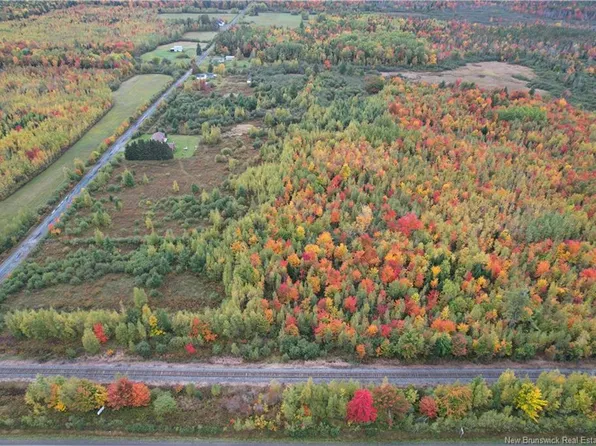 LOT Grangeville Rd, Harcourt, NB E4T 2T7