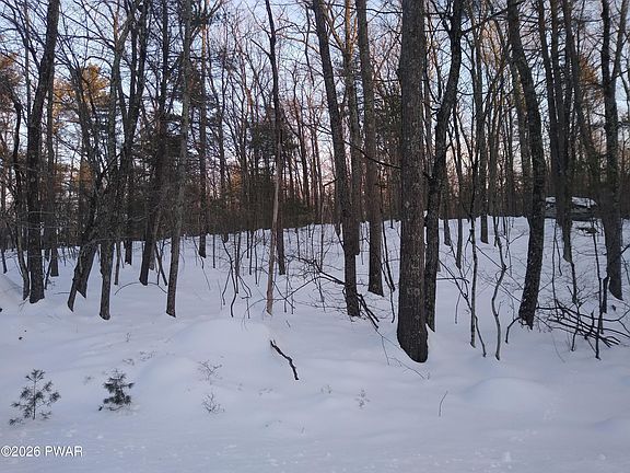 4th image of Bear Paw Dr