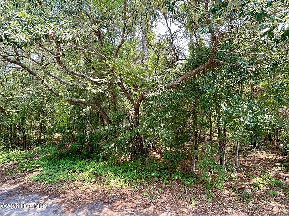 3rd image of 308 Alexander Pl Lot 15