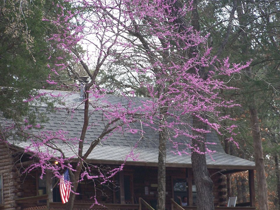 1st image of 5709 S Cabin Ln