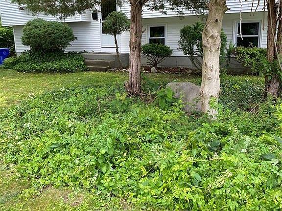 2nd image of 55 Lillian Ave E