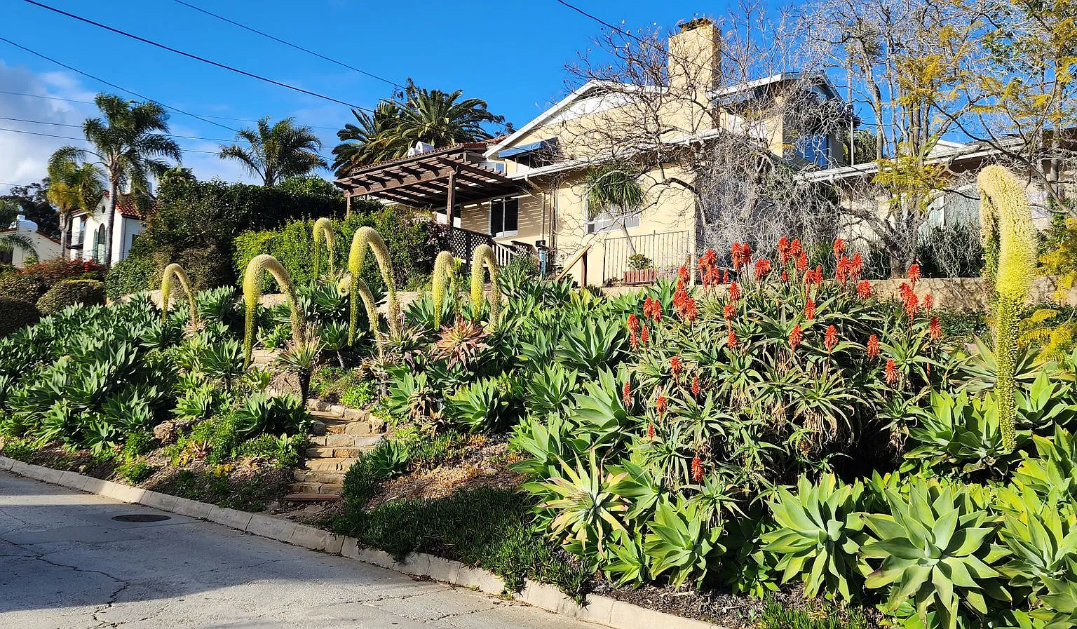 101 Property Mgmt Inc — Photo 2