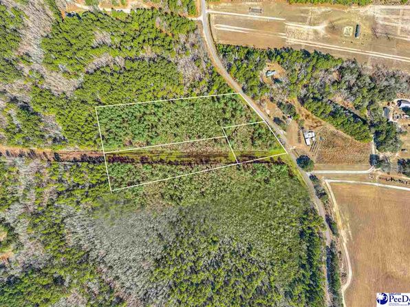 Flinn Rd, Manning, SC 29102