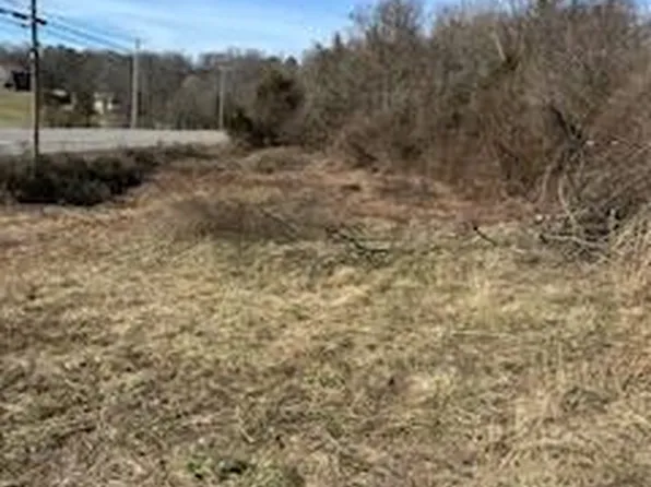 8973 Blue Springs Pkwy, Mosheim, TN 37818