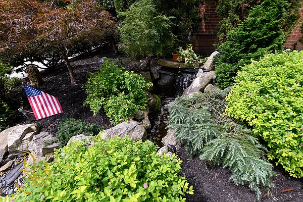 Sold by Dorsa Group | media 25